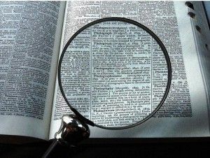 online media focus
