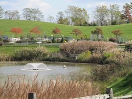 Oak Crest Village Certified Wildlife Habitat Oak Crest Village Certified Wildlife Habitat